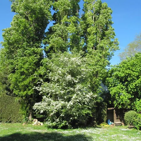 Savoielac - Les Deux Noyers * Egreville